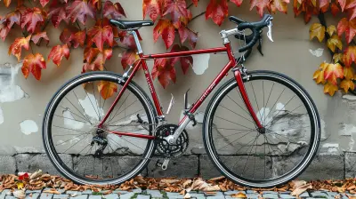 Essential Bike Maintenance Keep Your Ride In Top Shape