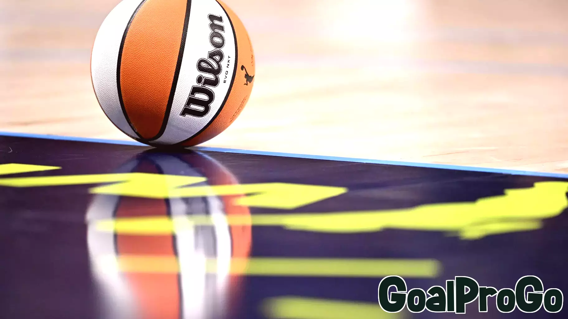 A Brief Look at the History of Sex Toys Thrown at Sporting Events