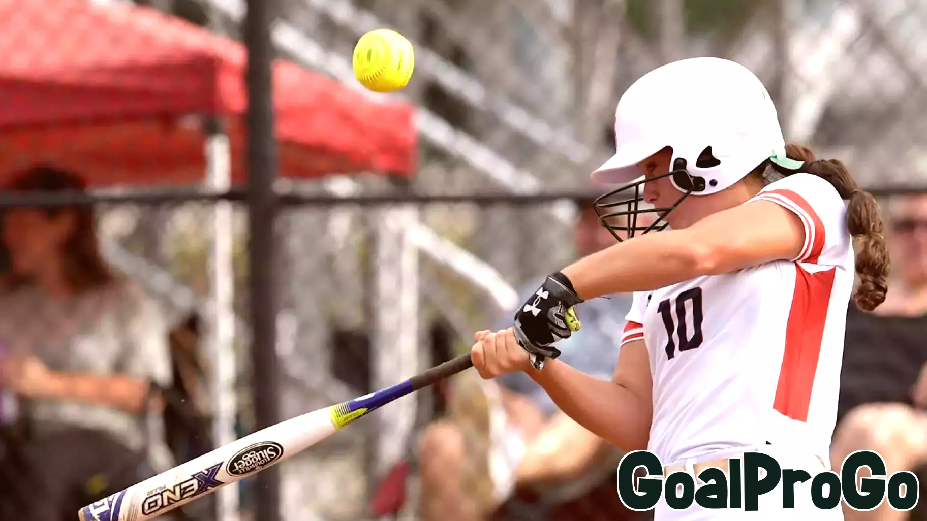 ASWA Reveals Annual Honors for High School Softball