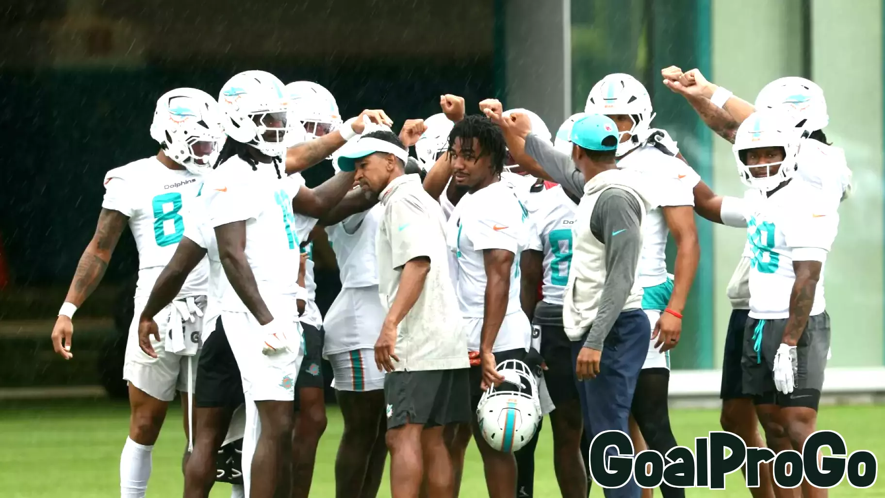 Dolphins to Host Public Training Camp Practices This Summer
