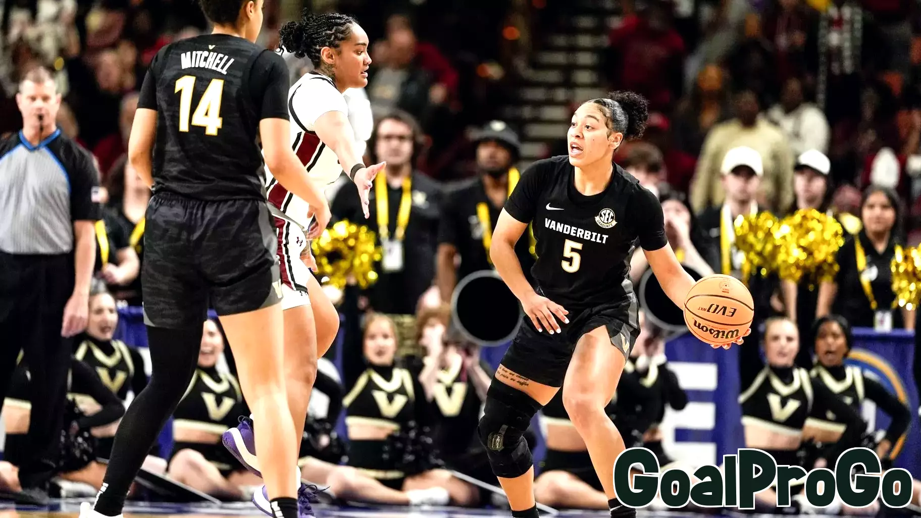 Female Athletes Challenge NCAA Settlement Approval