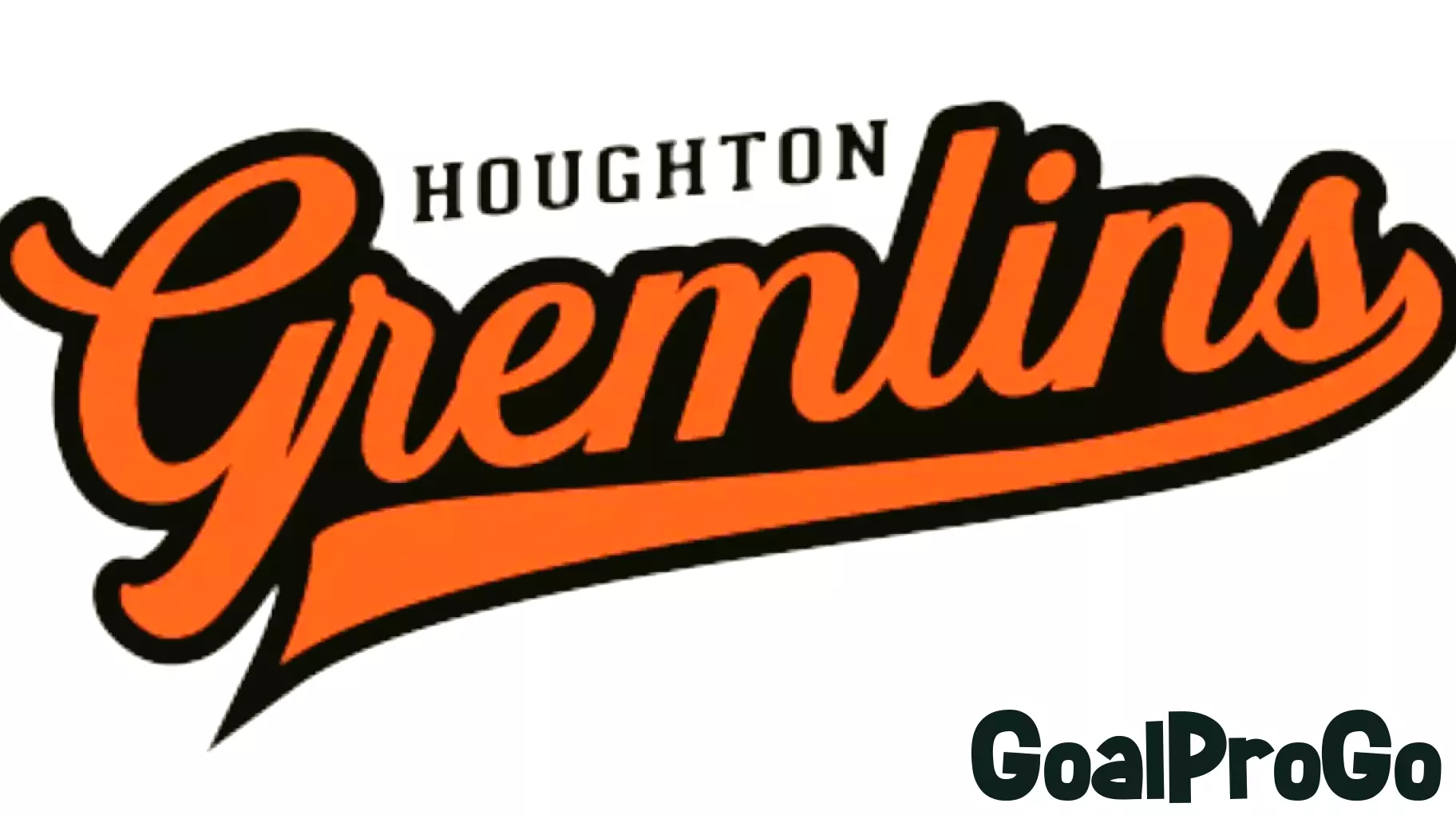 Houghton High School Baseball and Softball Teams Achieve Sweeps
