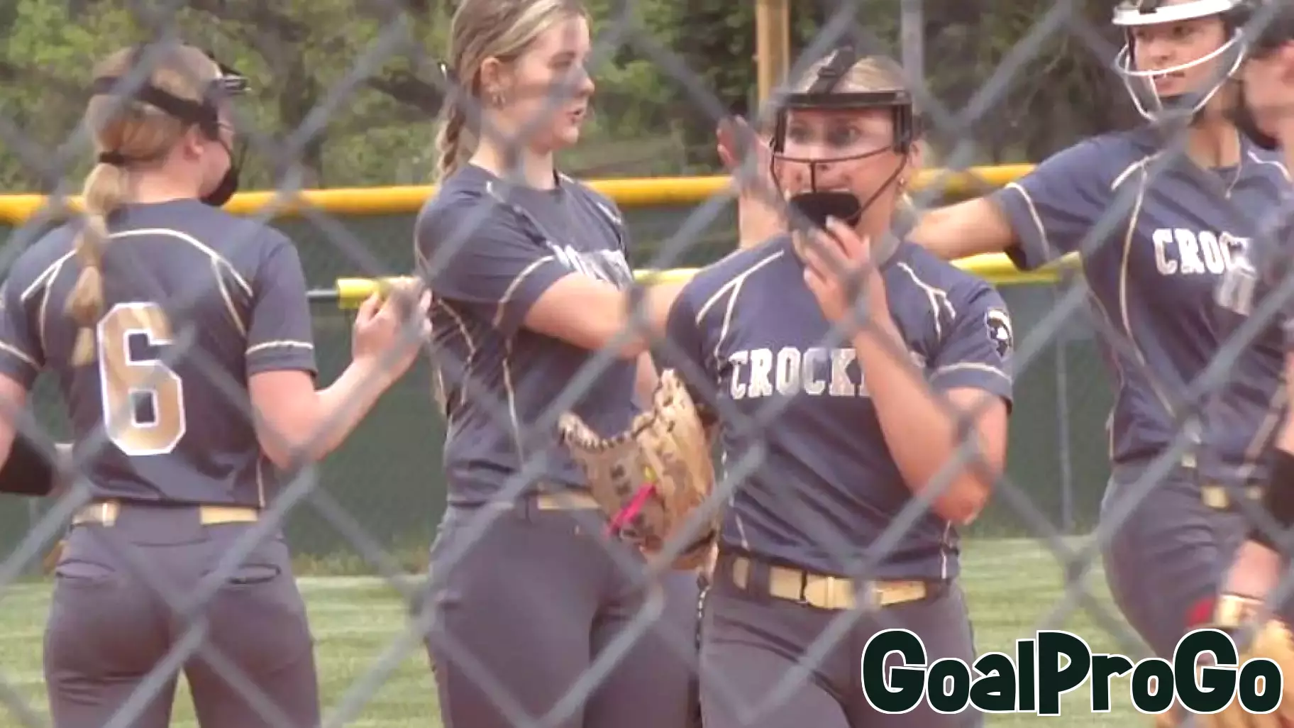 Local Softball Teams Shine in Regional Playoffs