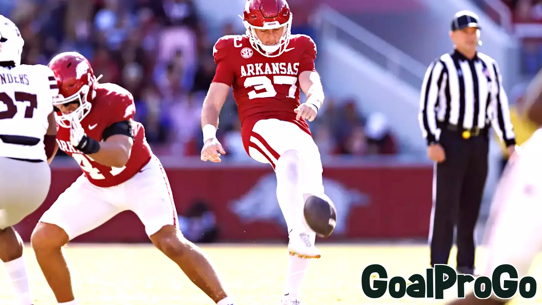 Patriots host rookie punter on minicamp tryout
