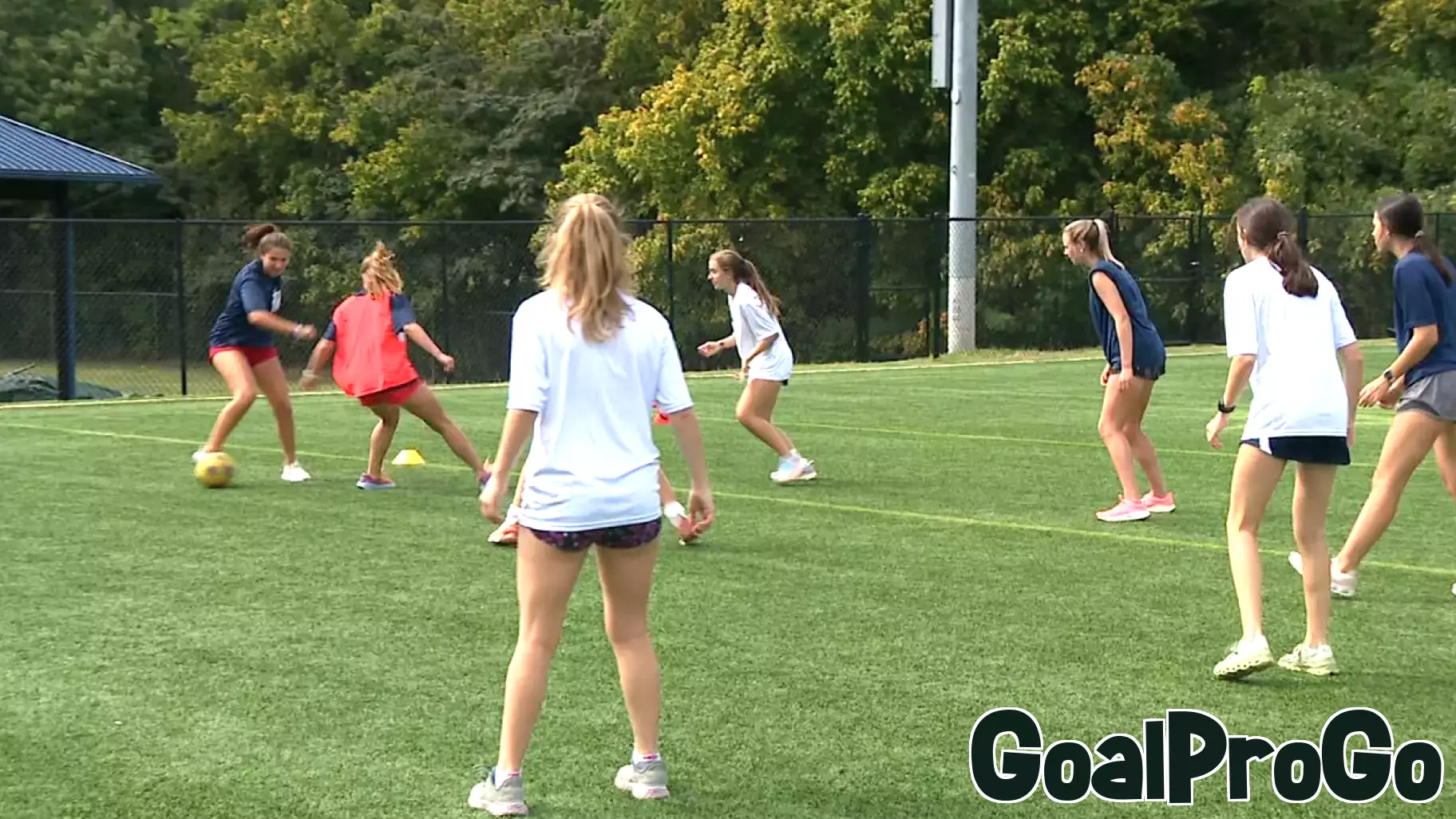 State law conflict sees WIAA sink proposal to ban transgender students from girls’ sports