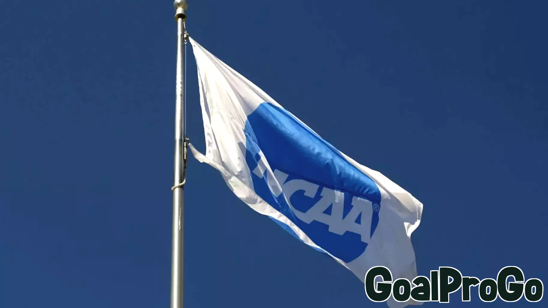 Transgender Runner Files Lawsuit Against NCAA and SUNY Geneseo Over Race Exclusion