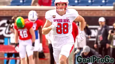 2026 Dynasty Tight End rankings following the Senior Bowl