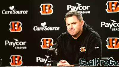 Bengals Offseason Updates and NFL Playoff Insights