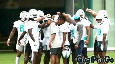 Dolphins to Host Public Training Camp Practices This Summer