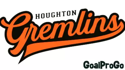 Houghton High School Baseball and Softball Teams Achieve Sweeps
