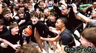 Mt. Vernon withstands 'nightmare' scenario, punches ticket to state finals