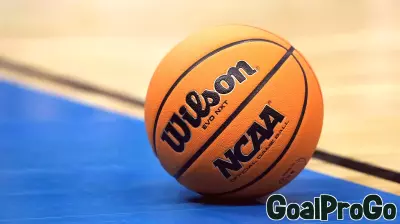 NCAA Probes 13 Ex-Basketball Players for Betting Violations