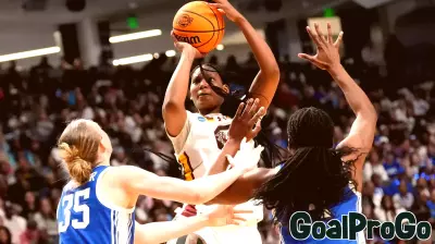 Women Athletes Prove Their Worth with Record-Breaking Attendance and Viewership